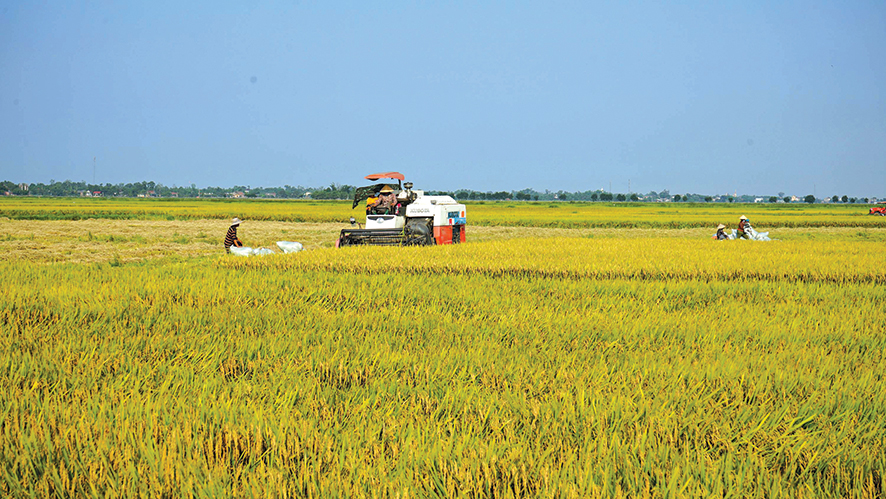 Dấu ấn nông nghiệp hữu cơ