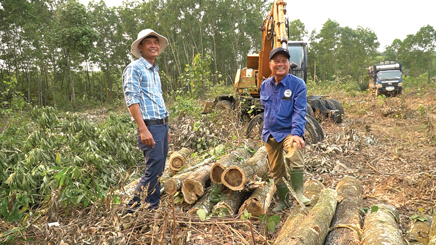 Lợi ích kép từ trồng rừng FSC