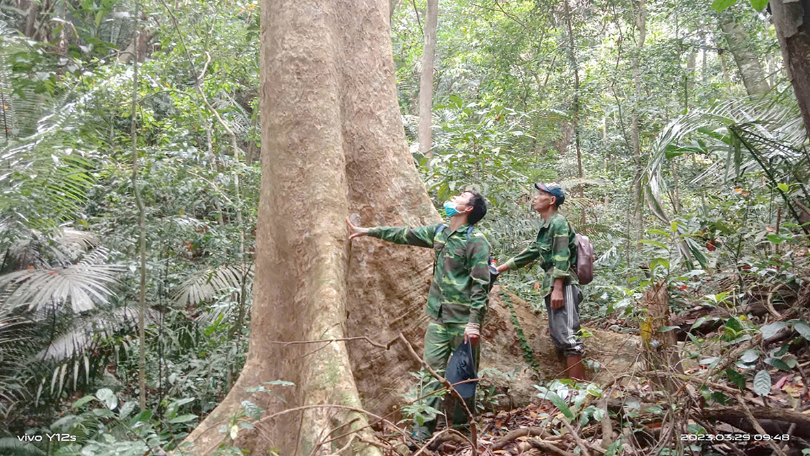 Giữ rừng, giữ thác mãi xanh