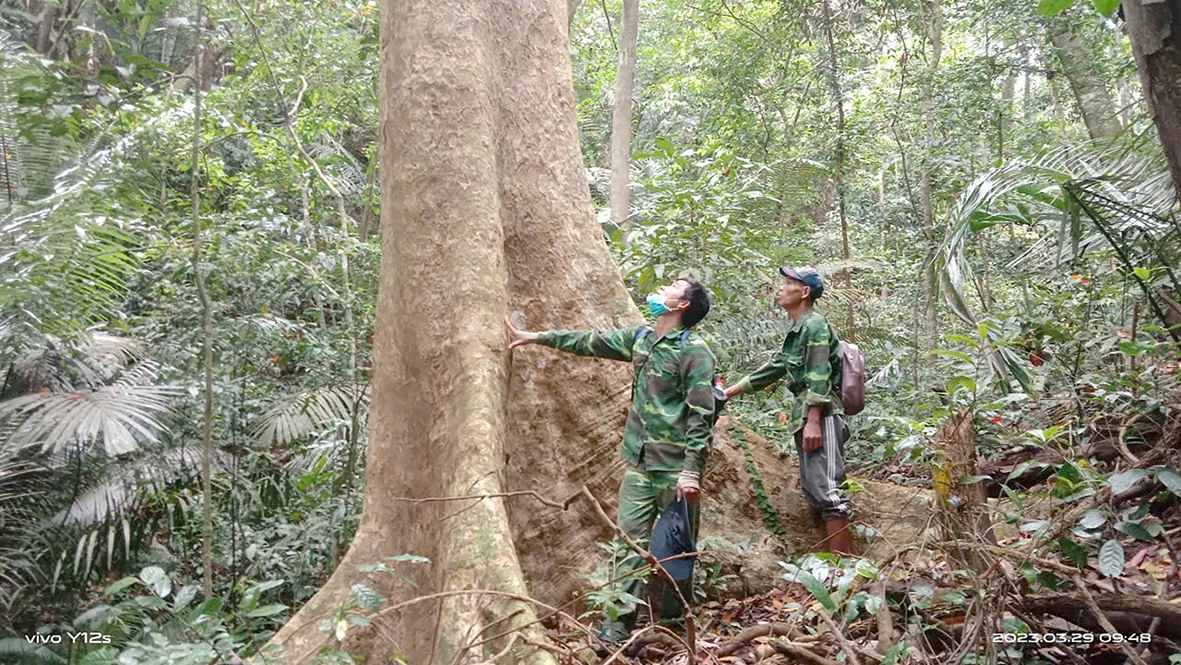 Giữ rừng, giữ thác mãi xanh
