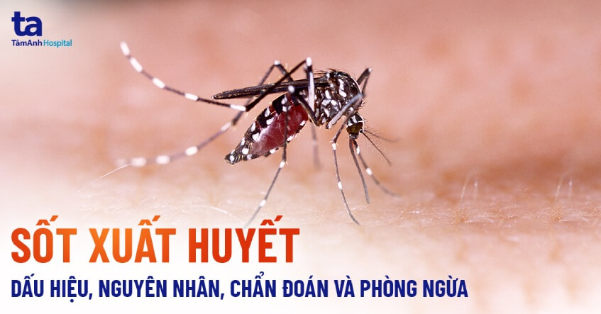 Tổ chức chiến dịch cao điểm phòng bệnh sốt xuất huyết, COVID-19