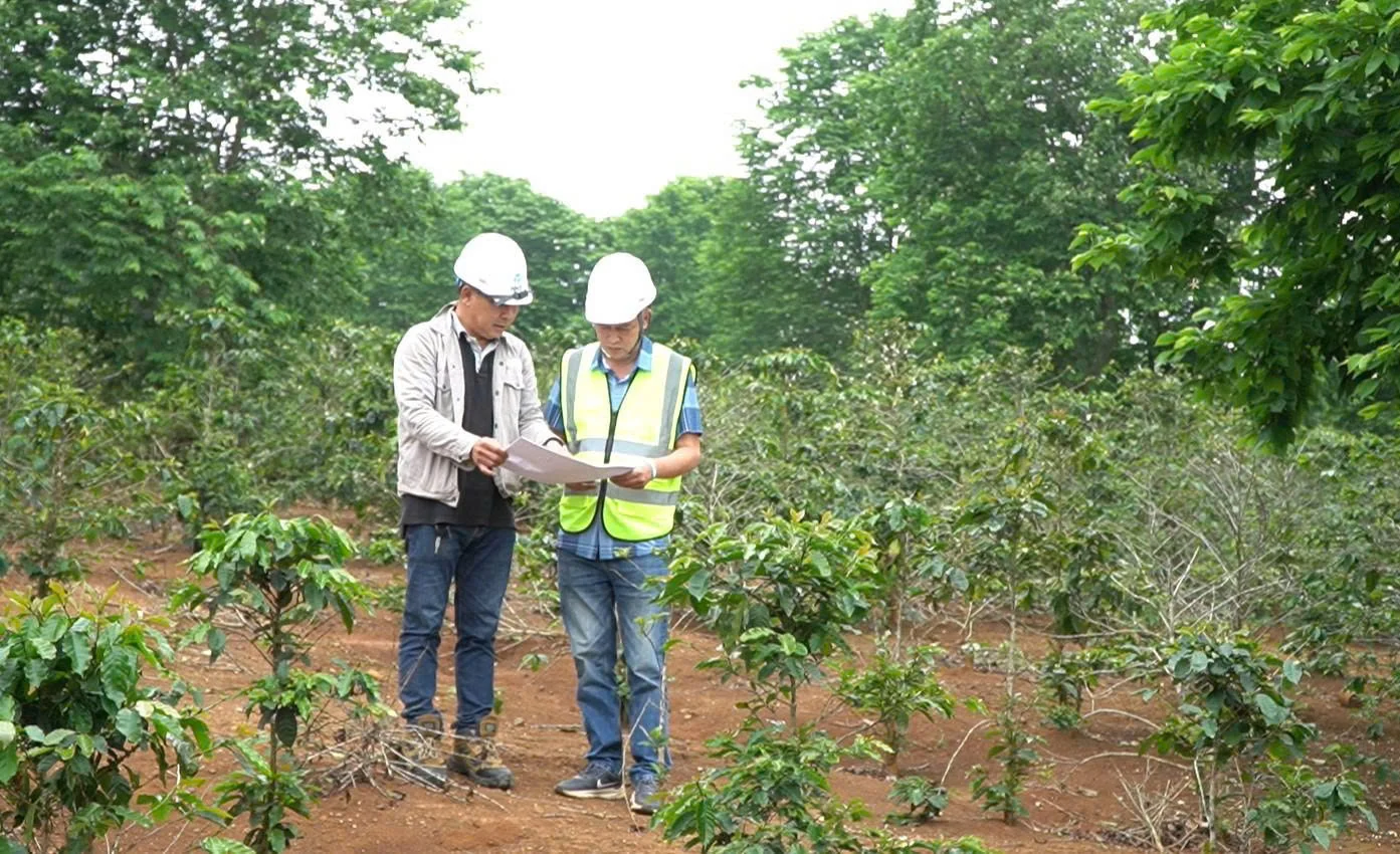 Hướng Hóa: Sẽ cưỡng chế thu hồi đất để xây dựng nhà máy điện gió 2.100 tỉ đồng