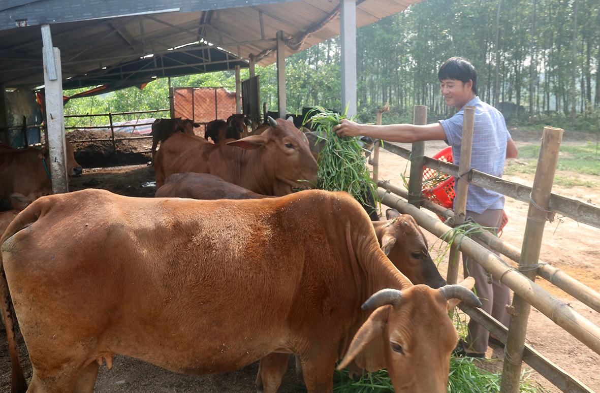 Gương sáng ở vùng gò đồi Đồng Bến