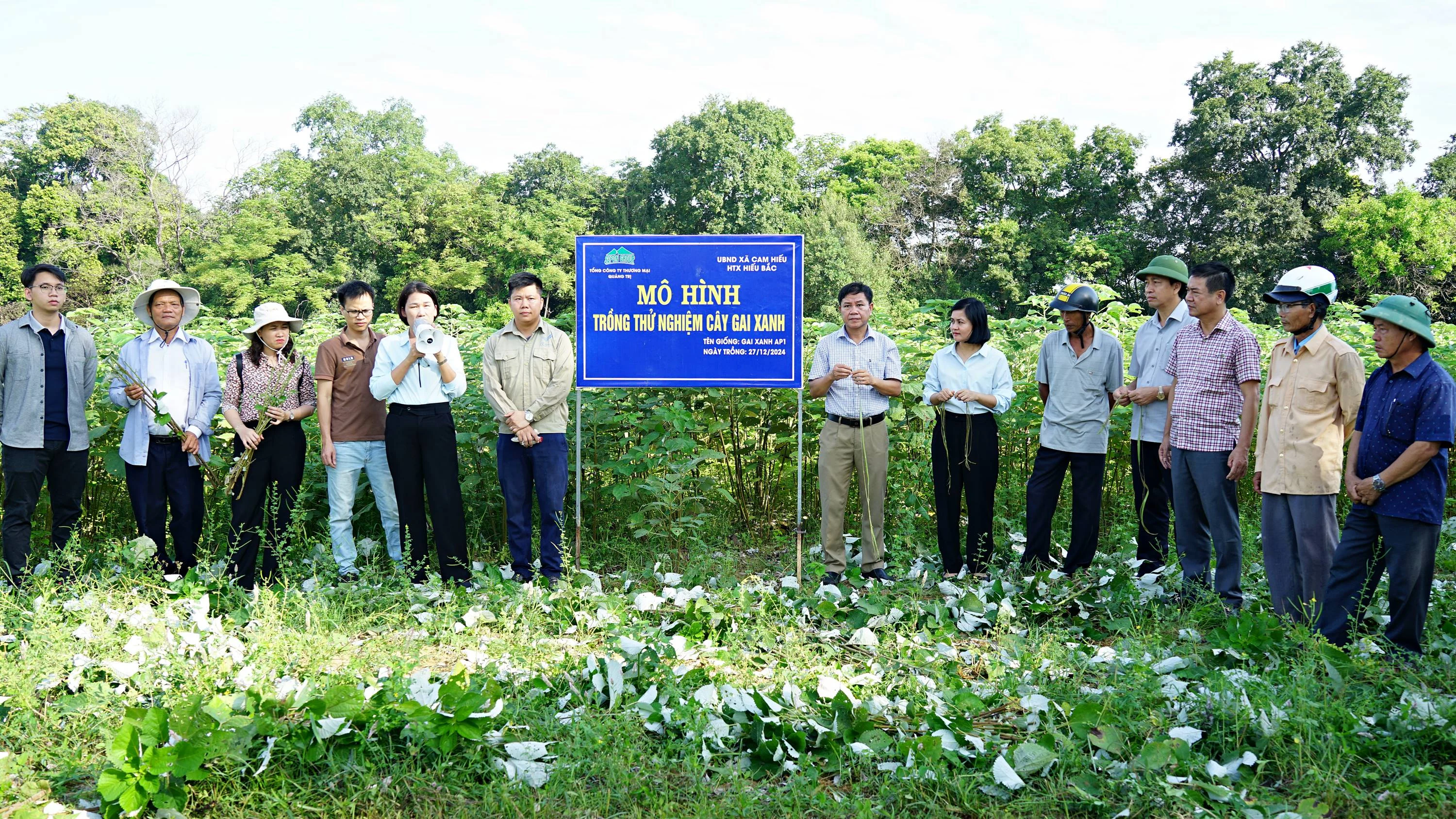 Hội nghị đầu bờ mô hình trồng thử nghiệm cây gai xanh