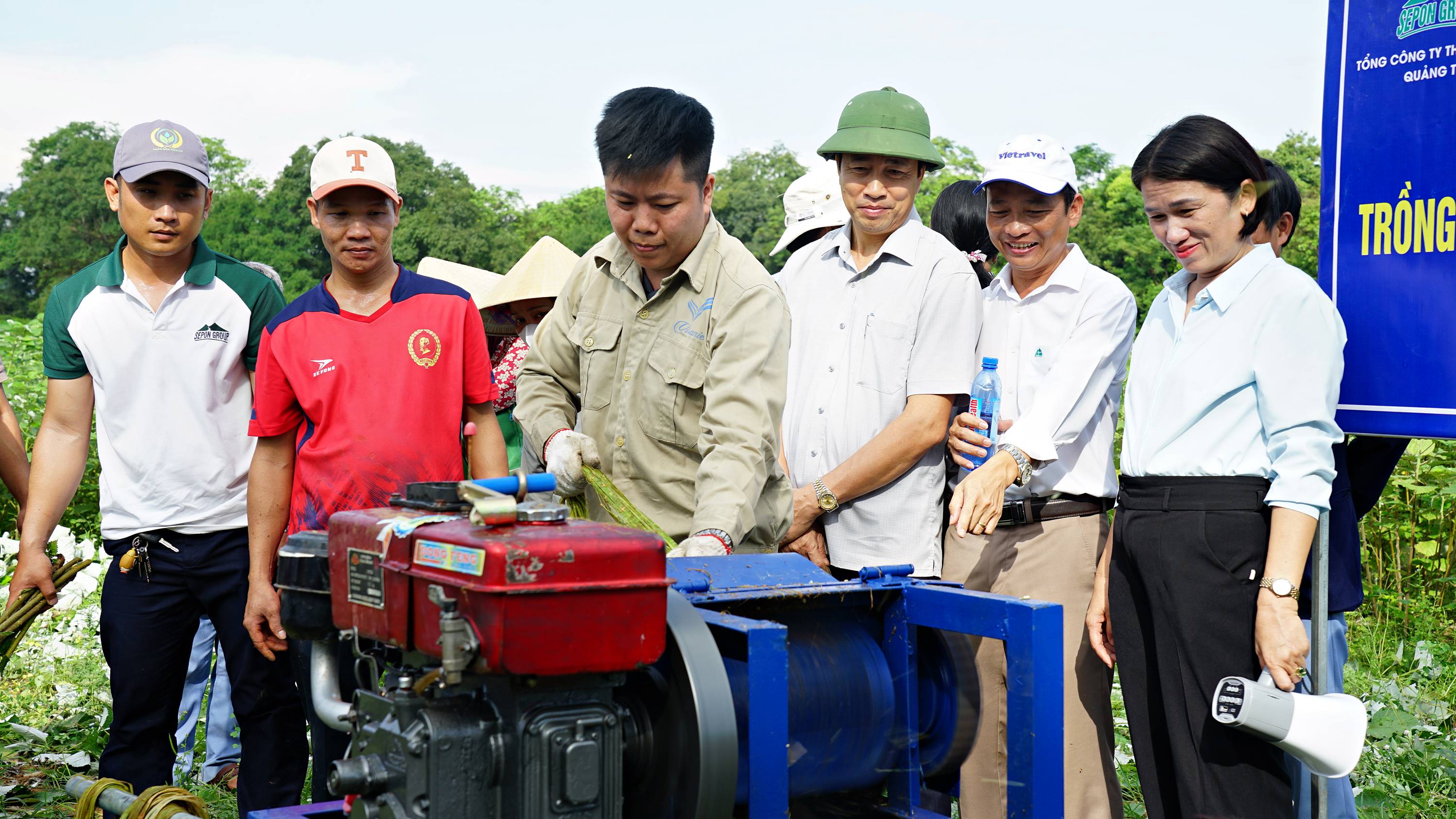 Hội nghị đầu bờ mô hình trồng thử nghiệm cây gai xanh