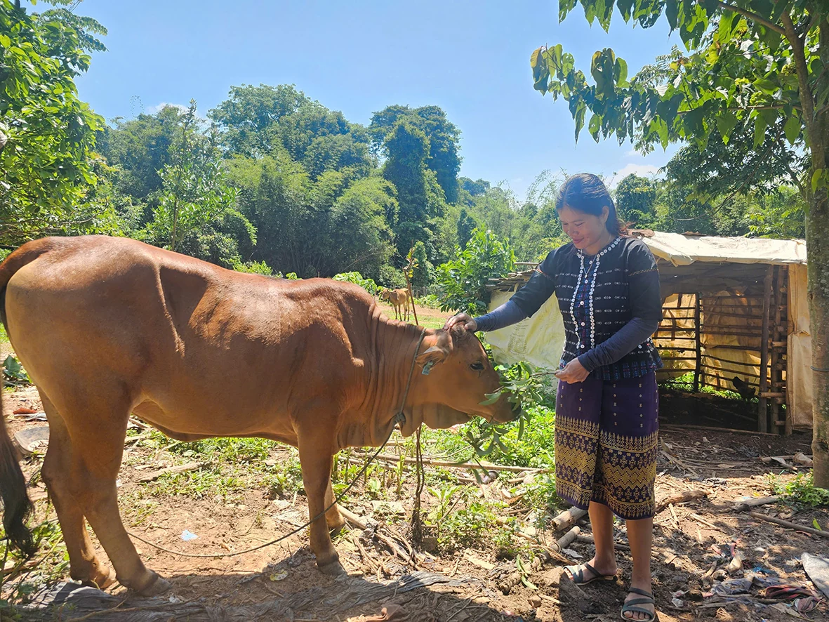 Nỗ lực thoát nghèo của nữ bí thư chi bộ thôn Trùm