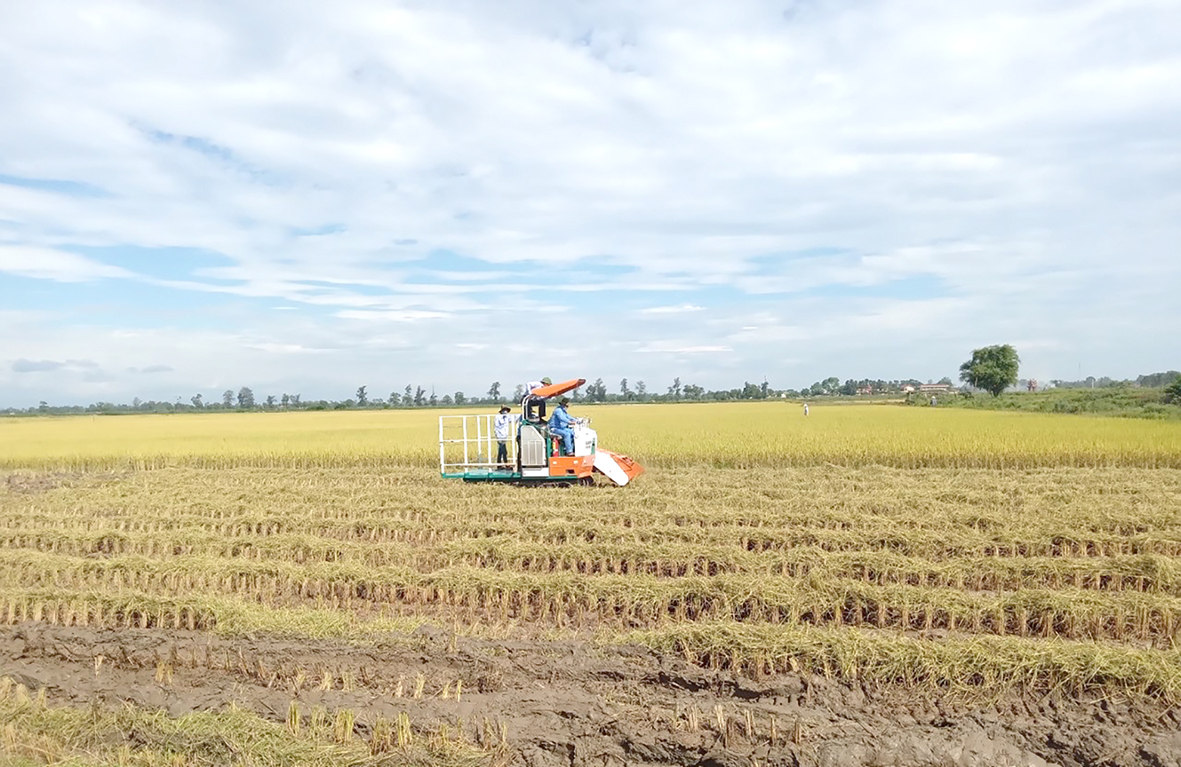 Đẩy mạnh công tác khuyến nông trong tình hình mới