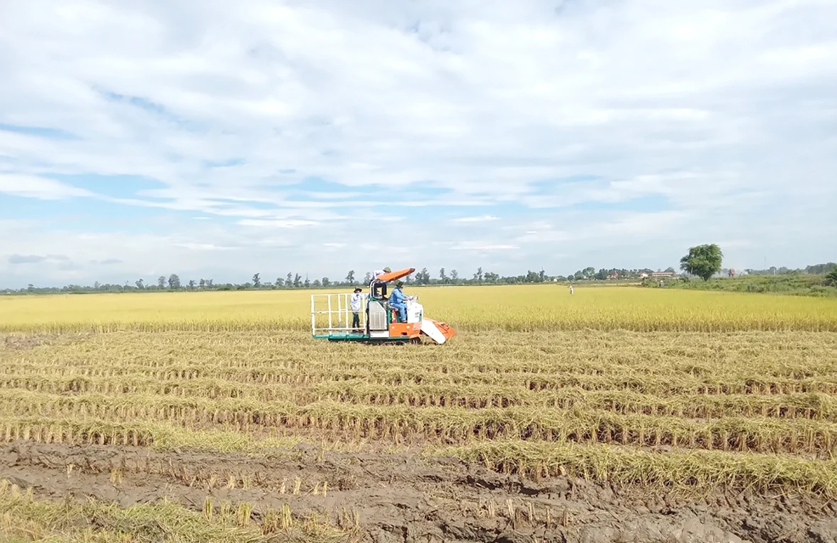 Đẩy mạnh công tác khuyến nông trong tình hình mới