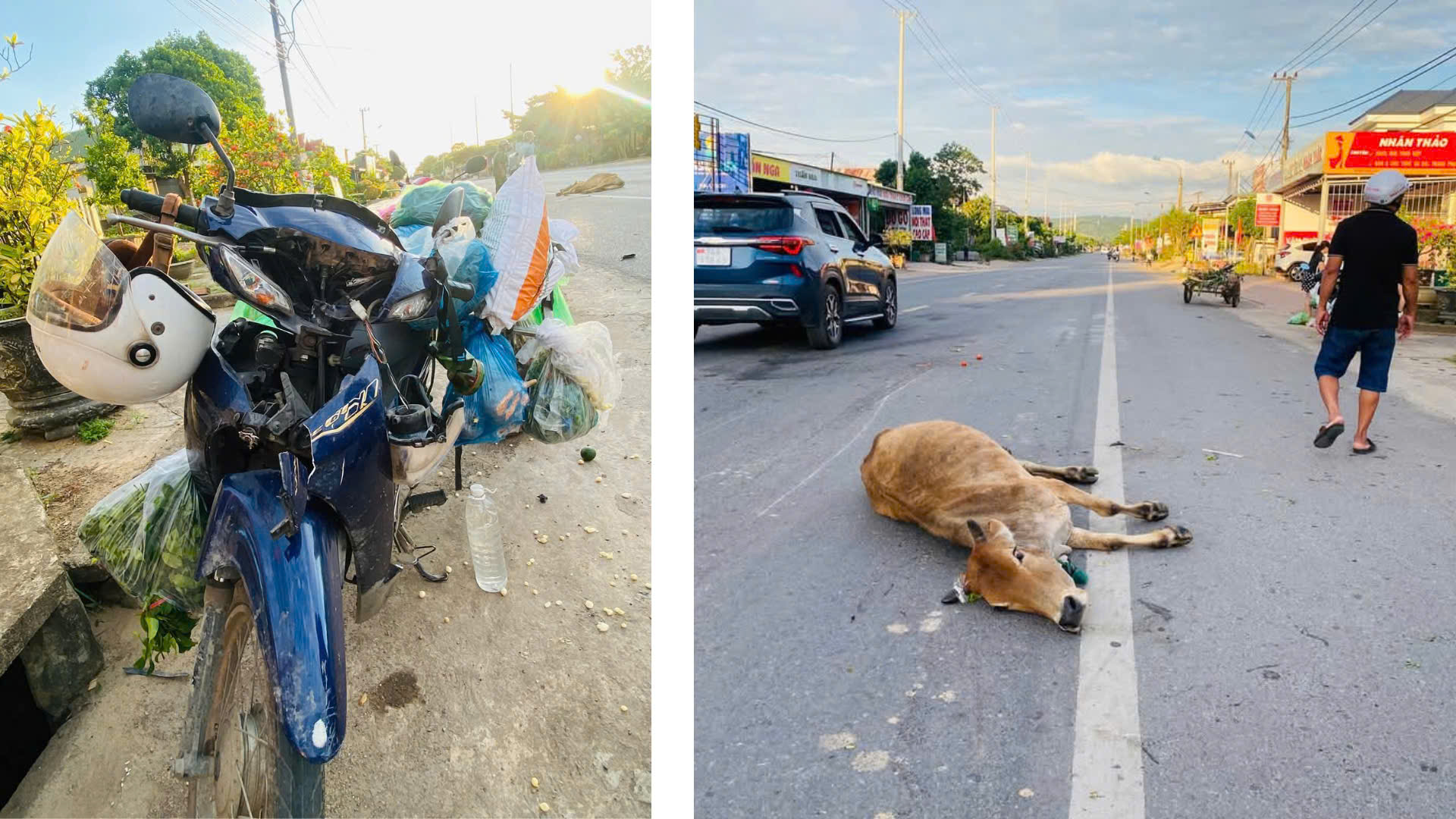 Một ngày xảy ra 2 vụ tai nạn giao thông trên Quốc lộ 9 khiến một phụ nữ tử vong