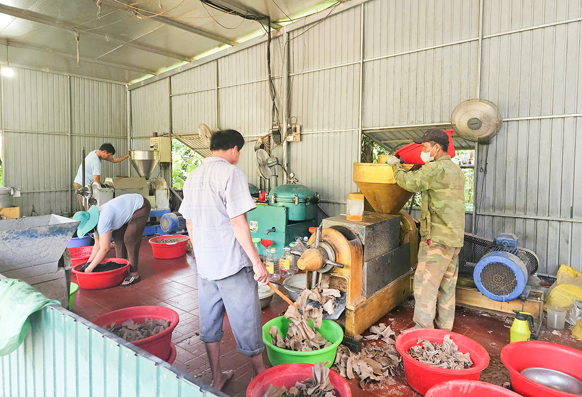 Phát huy hiệu quả nguồn quỹ tín dụng nhân dân