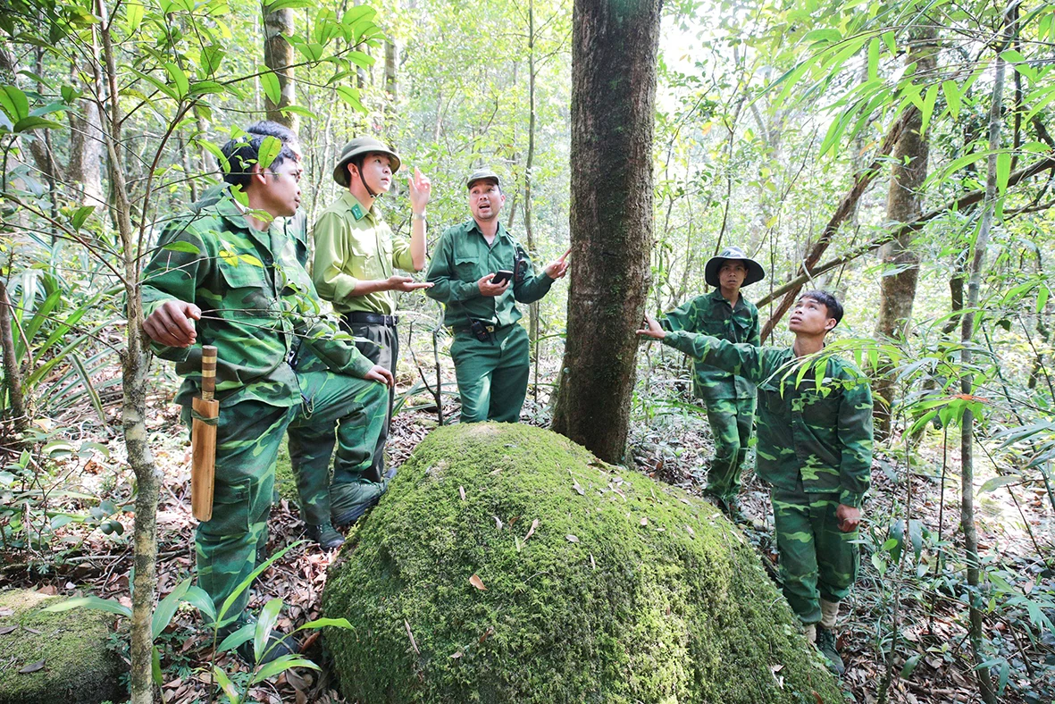 Vietnam, Laos strengthen cross-border cooperation on forest protection