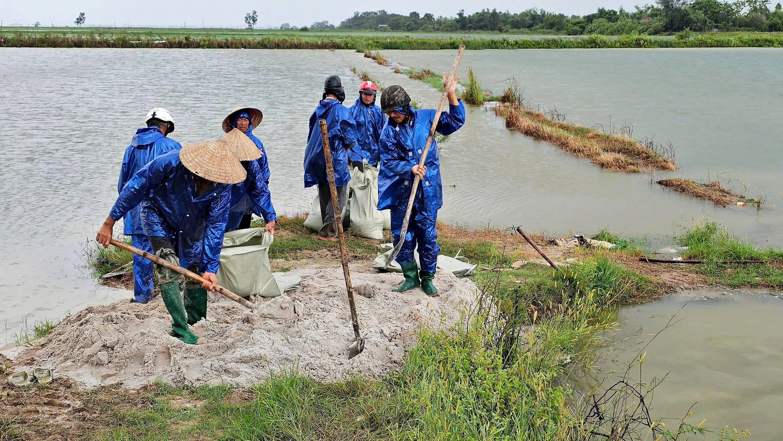 Hải Lăng: Hơn 5.300 ha lúa và rau màu bị ngập úng do mưa lớn