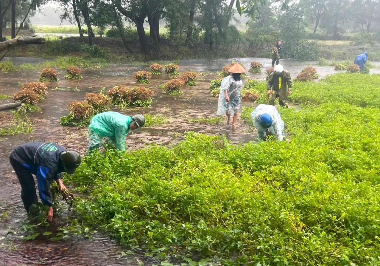 Gio Linh: Khoảng 8,5 tạ thủy sản bị thiệt hại do mưa lũ