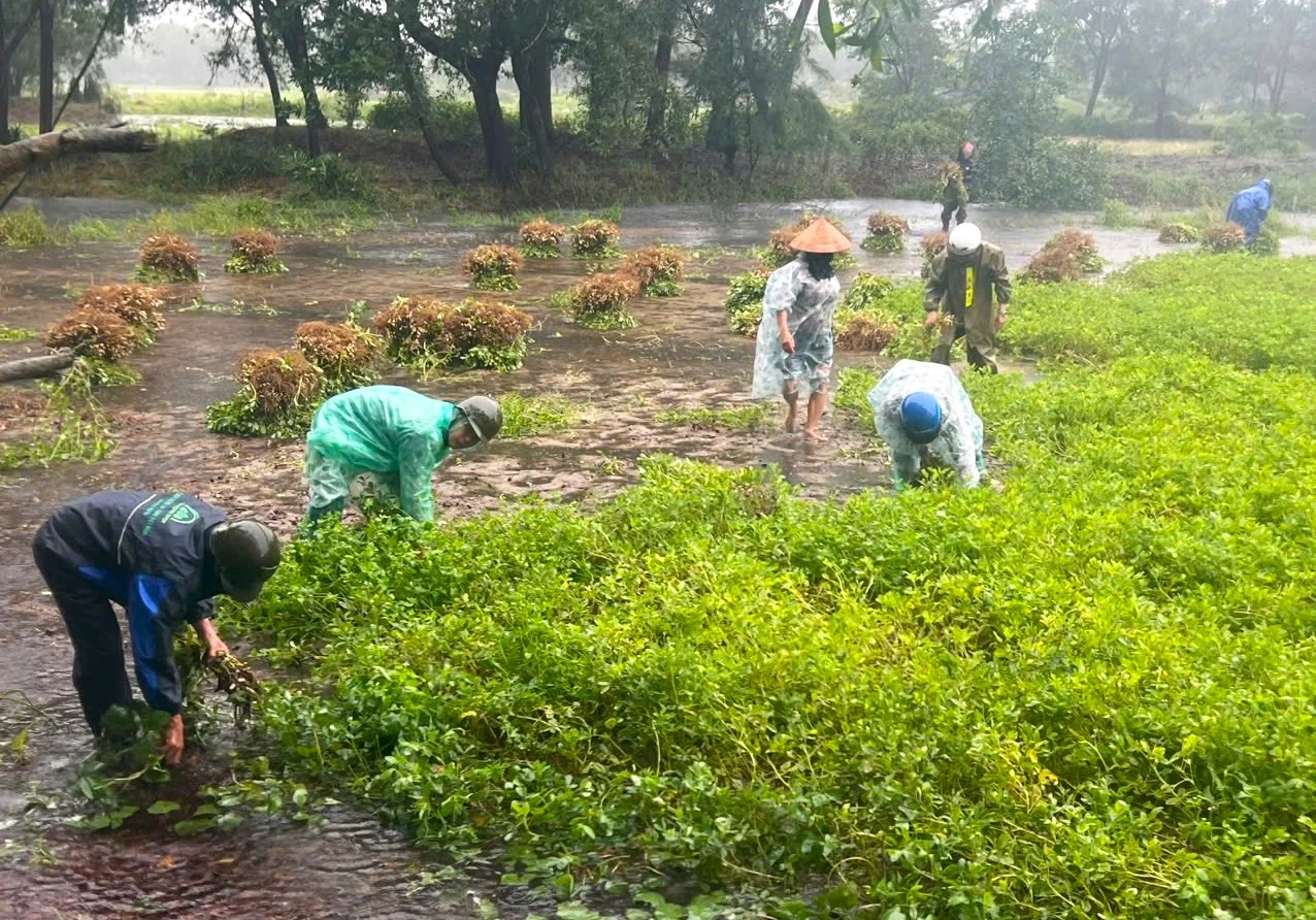Gio Linh: Khoảng 8,5 tạ thủy sản bị thiệt hại do mưa lũ