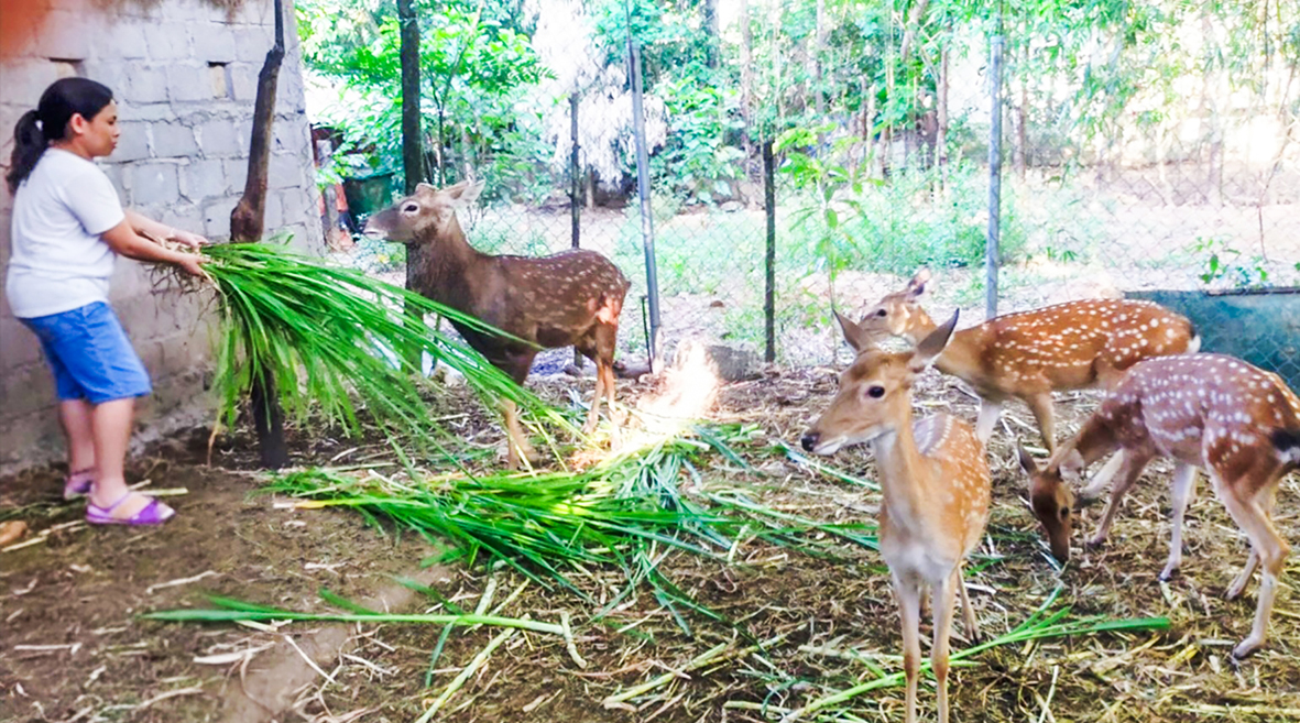 Nhiều mô hình hay, sáng tạo trong xây dựng nông thôn mới ở huyện Đakrông