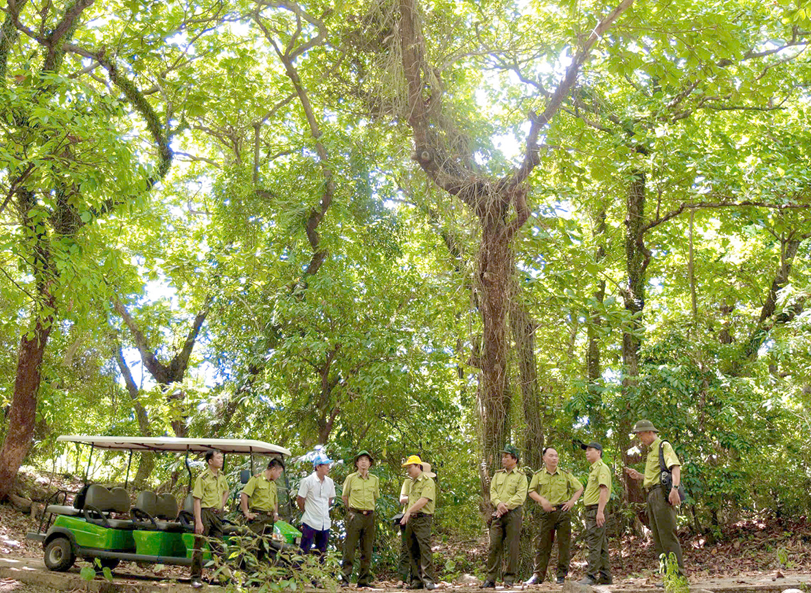Chủ động bảo vệ và phòng cháy, chữa cháy rừng