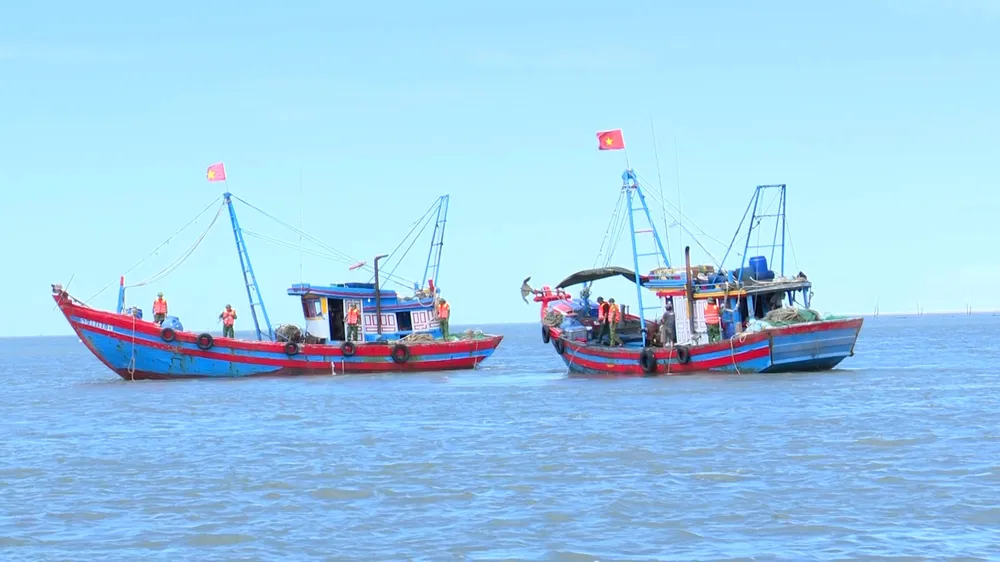 Phạt 35 triệu đồng và tước quyền sử dụng chứng chỉ thuyền trưởng tàu cá do khai thác thủy sản tại vùng ven bờ