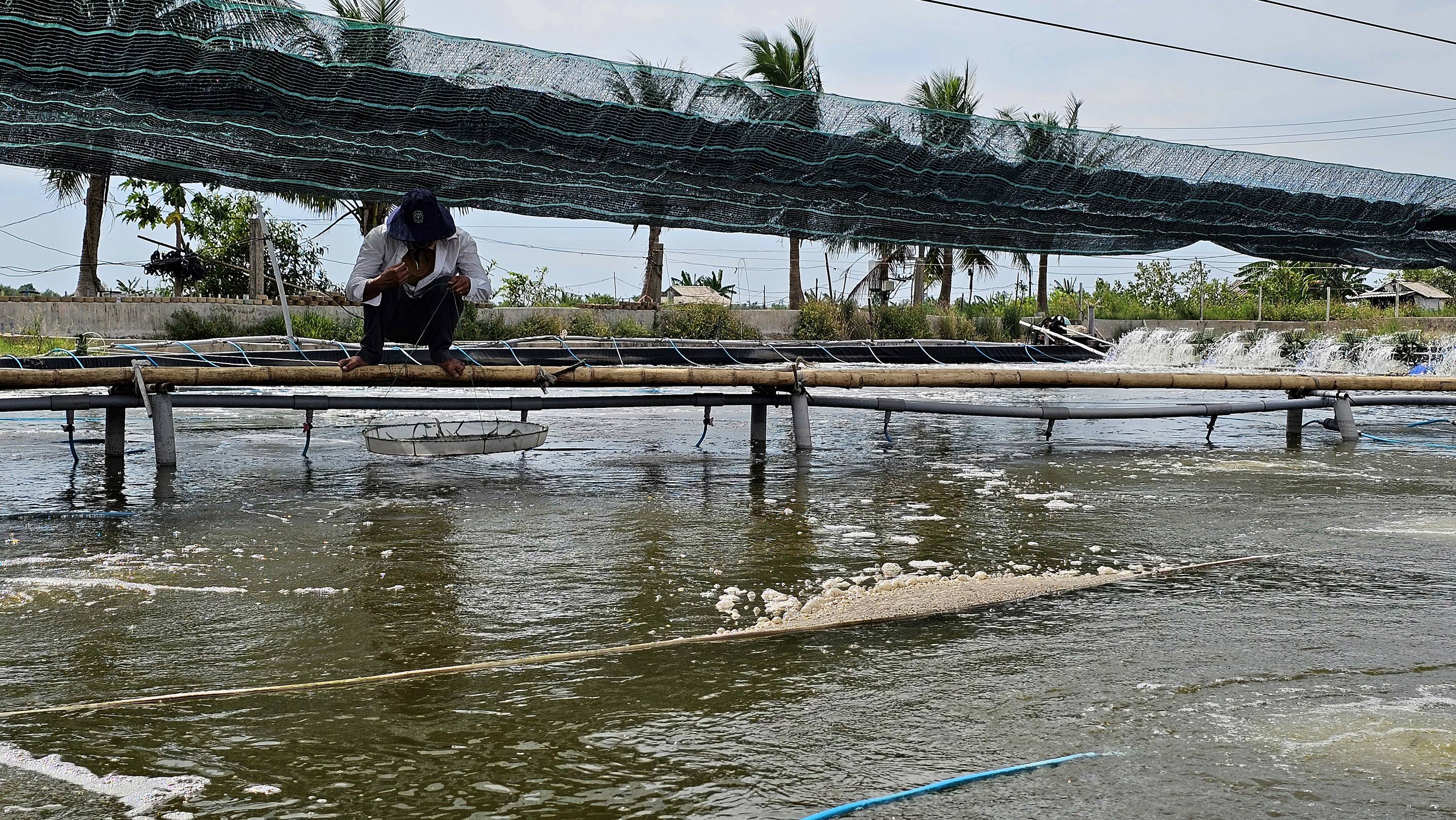 Khôi phục sản xuất thủy sản sau mưa lũ
