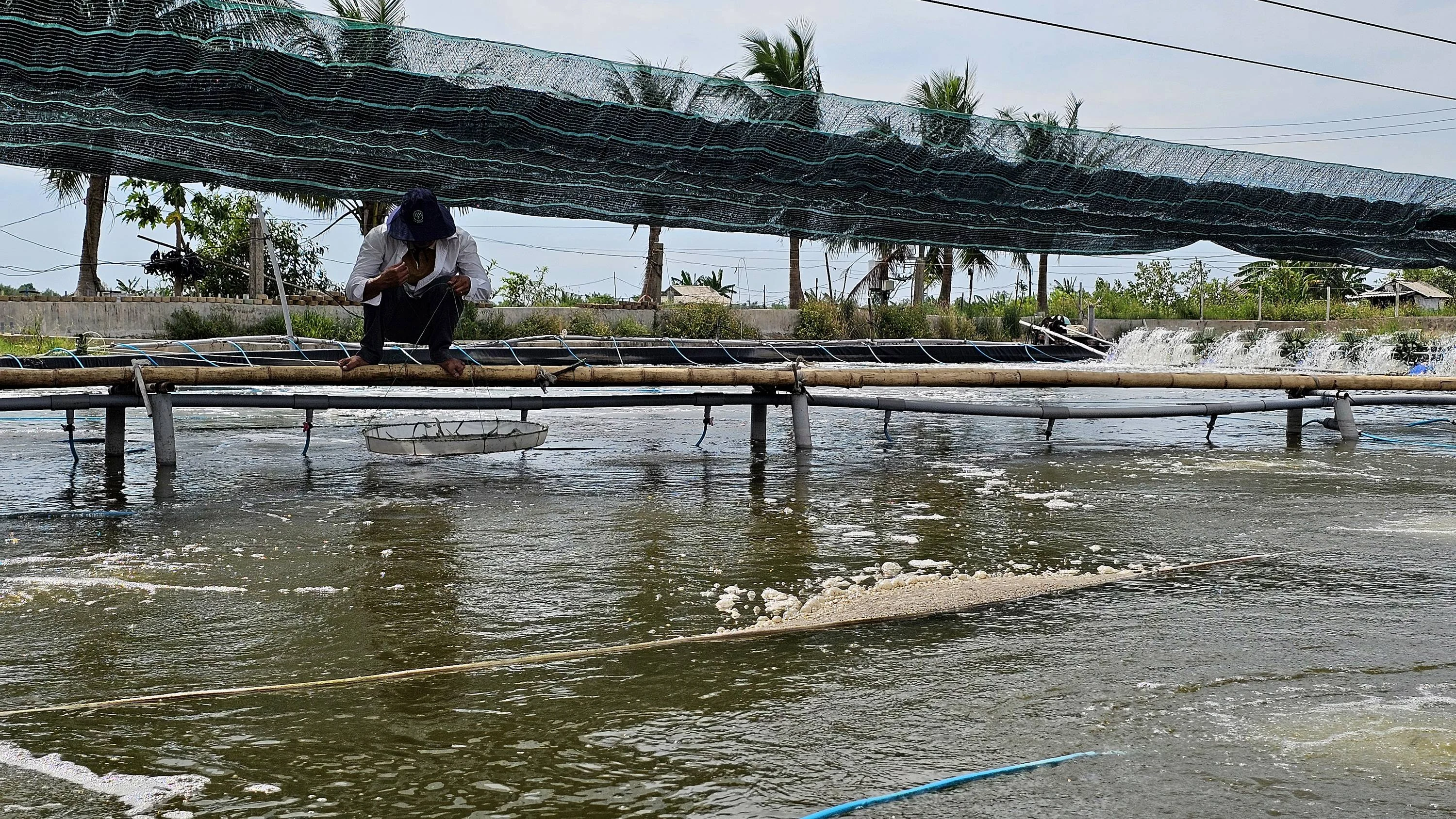 Khôi phục sản xuất thủy sản sau mưa lũ