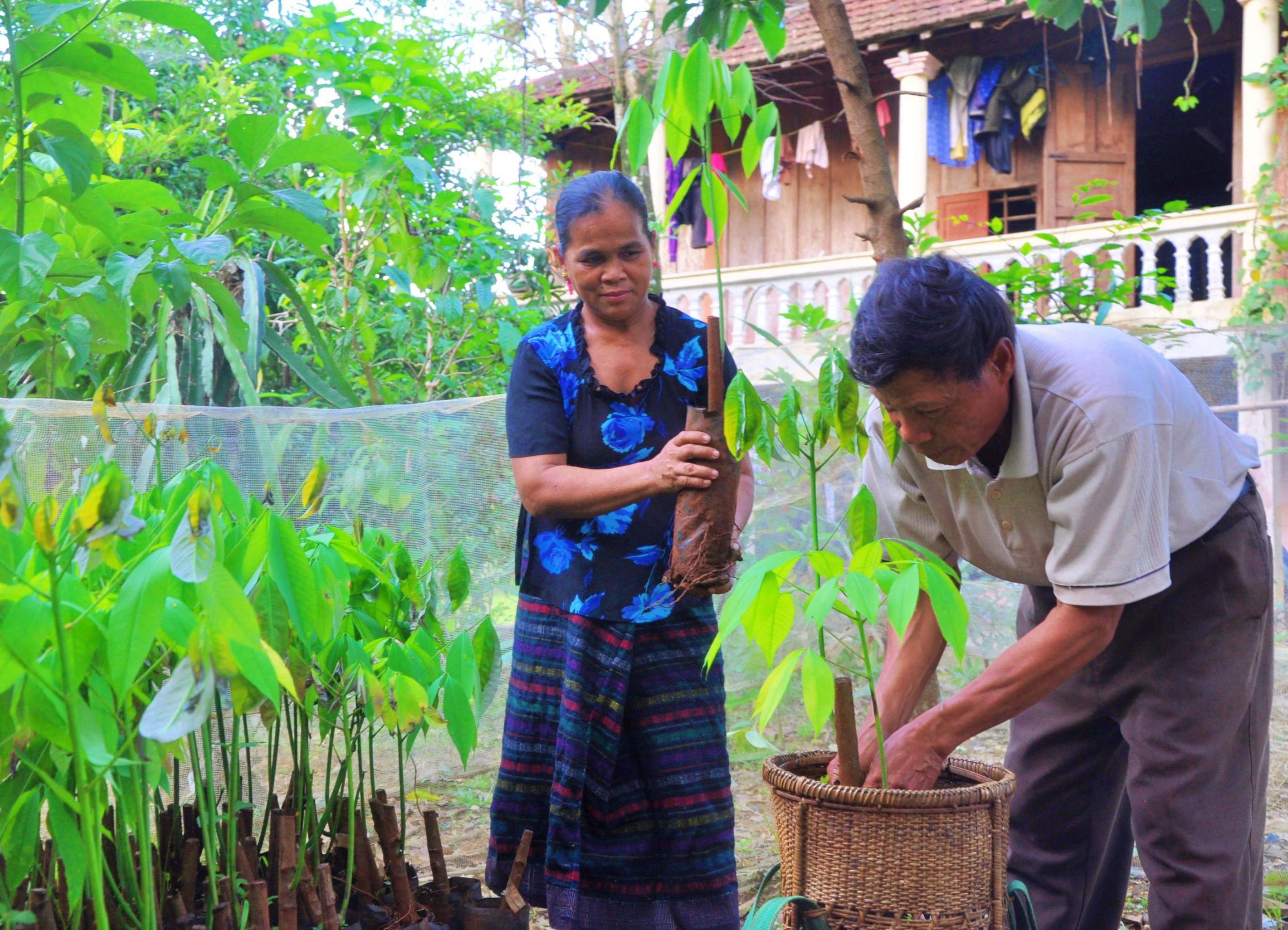 Phát huy cao nhất hiệu quả nguồn vốn hỗ trợ vùng đồng bào dân tộc thiểu số, miền núi