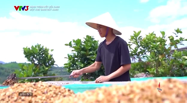 Hành trình kết nối xanh: Một Khe Sanh rất xanh