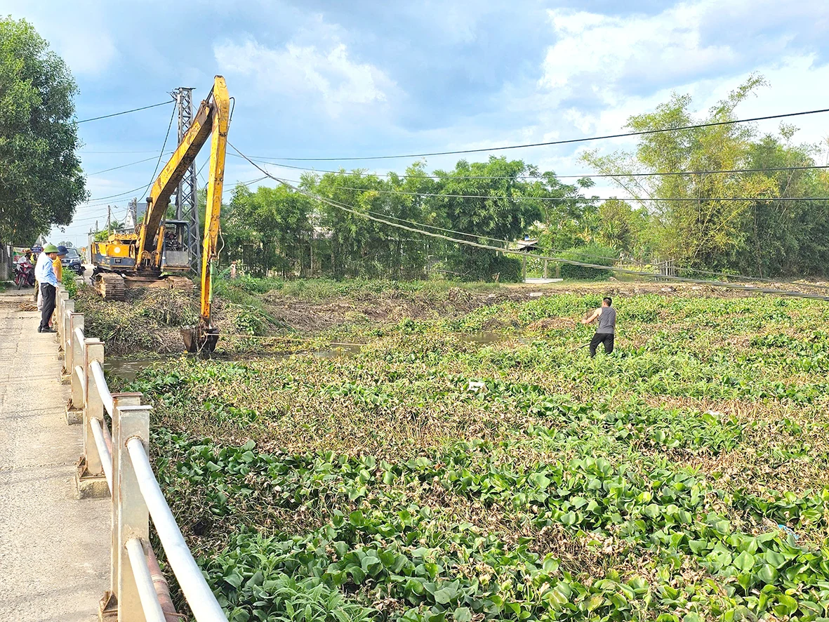 Nan giải tìm cách xử lý bèo lục bình trên sông