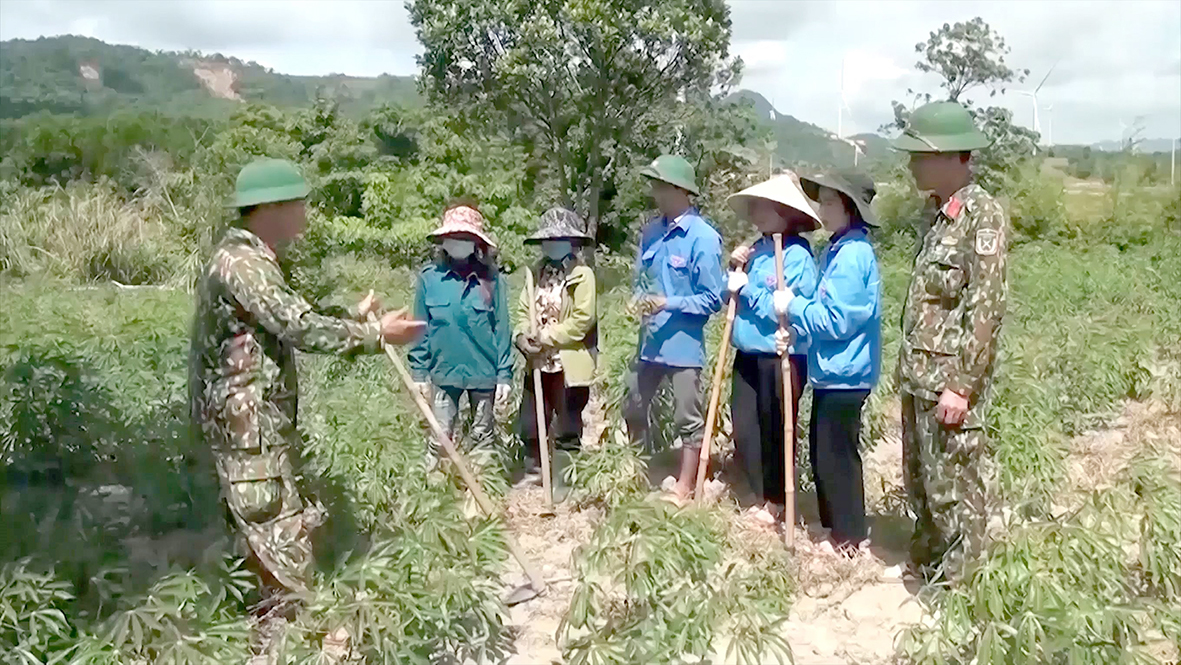 Những người gieo mầm sống trên dãy Trường Sơn