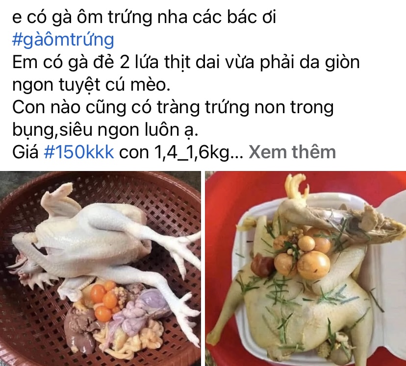 Cẩn trọng với gà “ôm trứng” giá rẻ