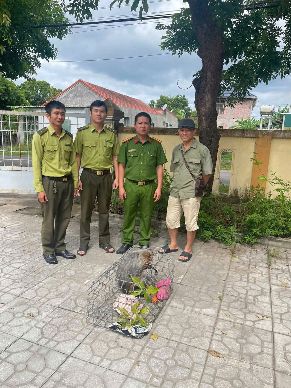 Tiếp nhận cá thể khỉ mặt đỏ quý hiếm do người dân tự nguyện giao nộp