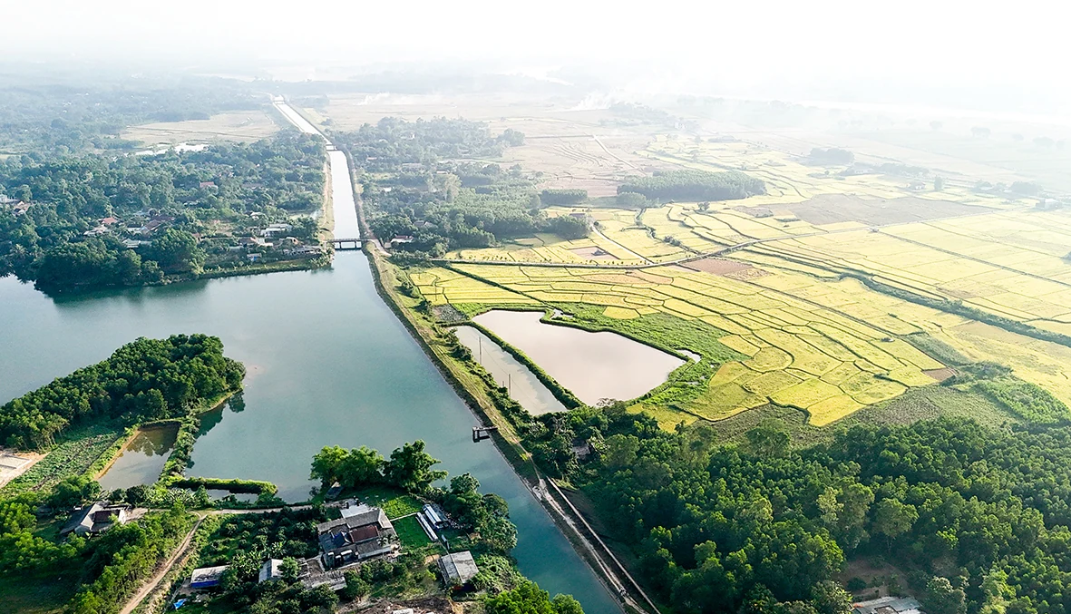 Người của hai quê