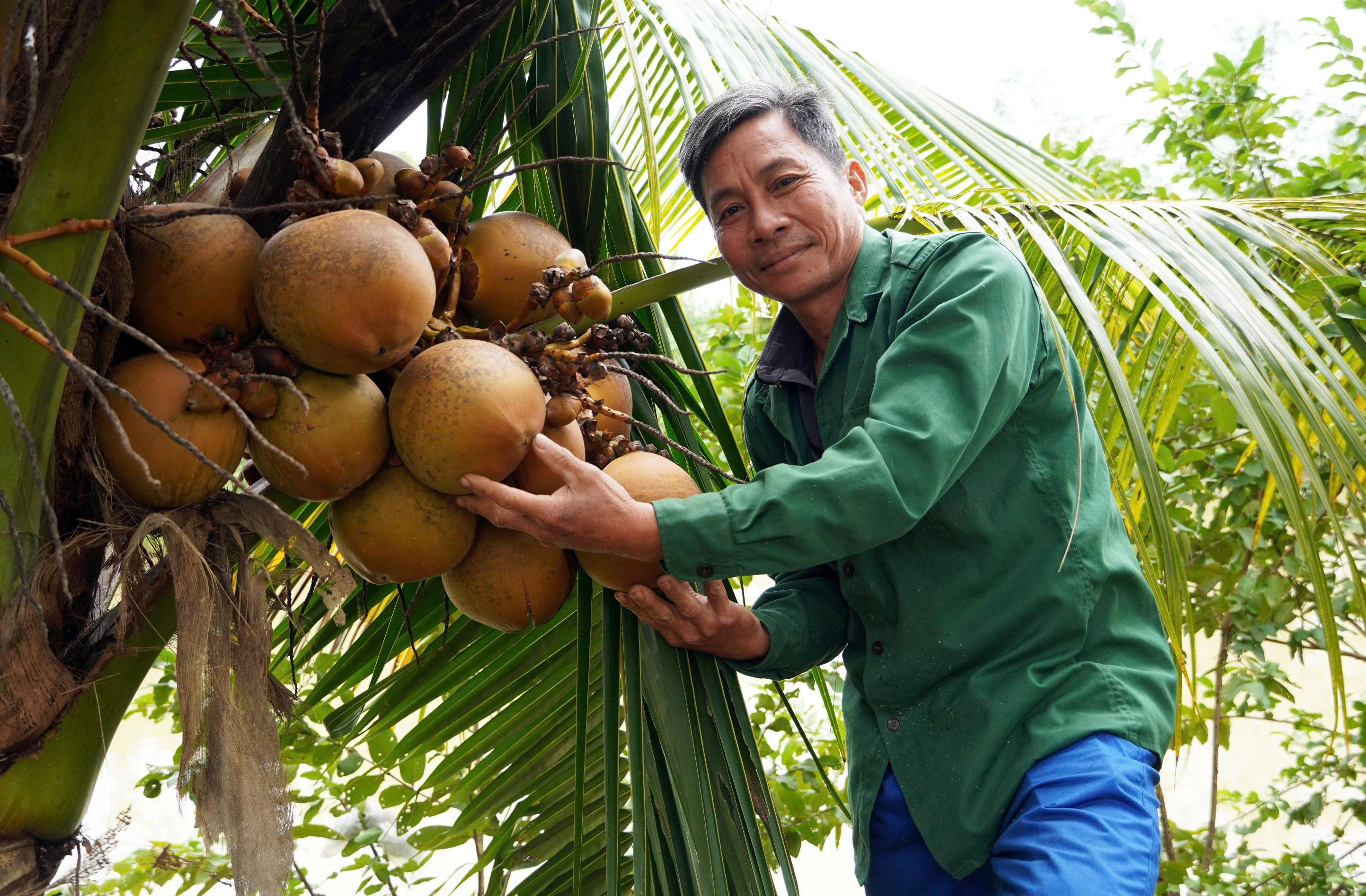 Chung sức xây dựng nông thôn mới