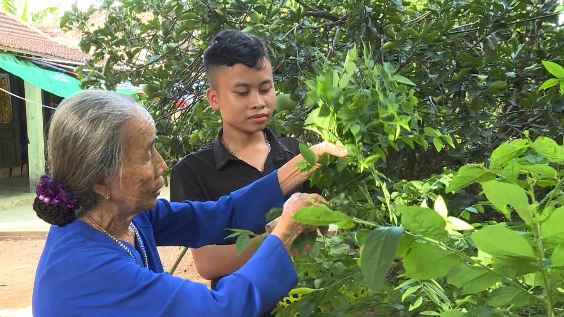Hơn 30 năm lặng lẽ “ươm những mầm xanh”
