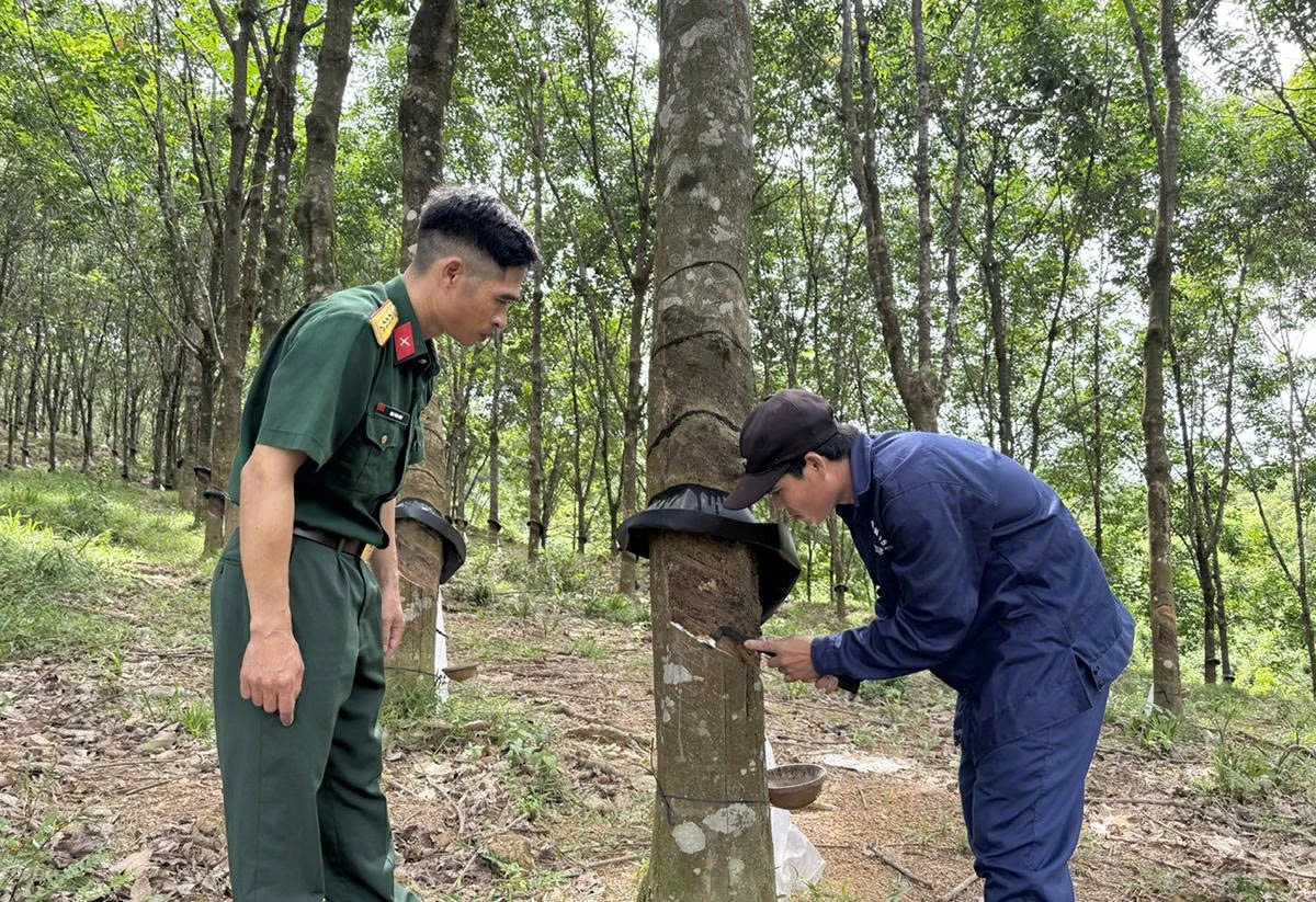 Ánh sáng từ phía biên cương...