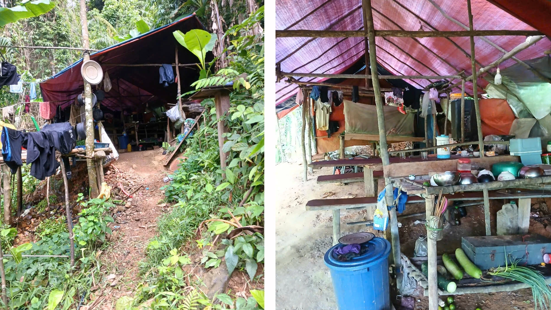 Tiếp tục phát hiện lán trại của “vàng tặc” tại rừng phòng hộ Quảng Trị