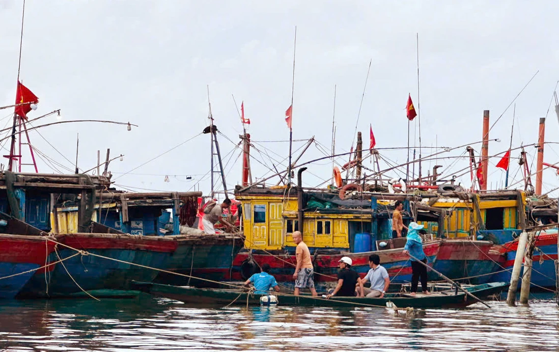 Đồng Thuận, tiềm năng và kỳ vọng