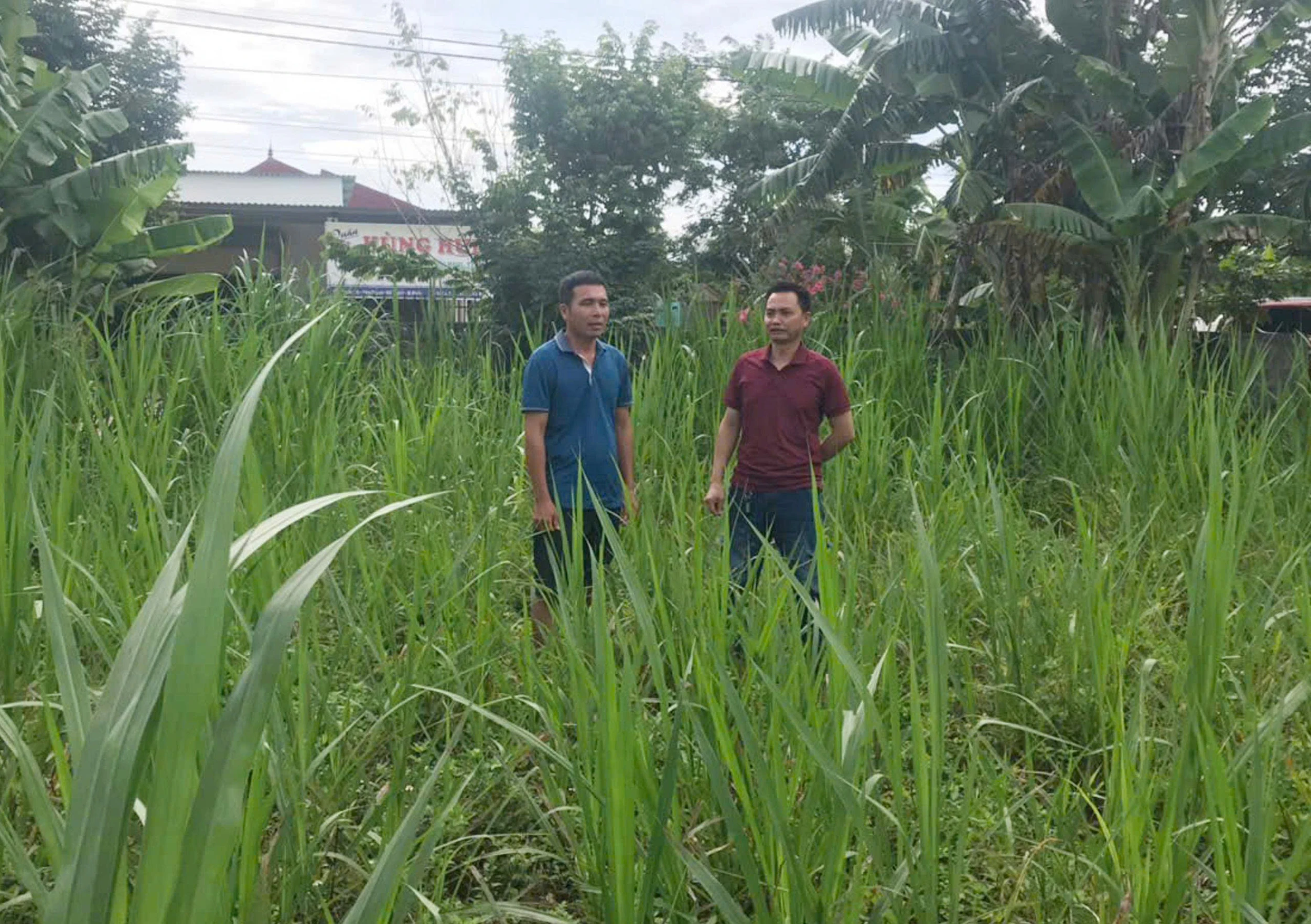 Về đơn tố cáo của ông Dương Viết Vương trú tại xã Hòa Trạch cũ: Cần xử lý dứt điểm