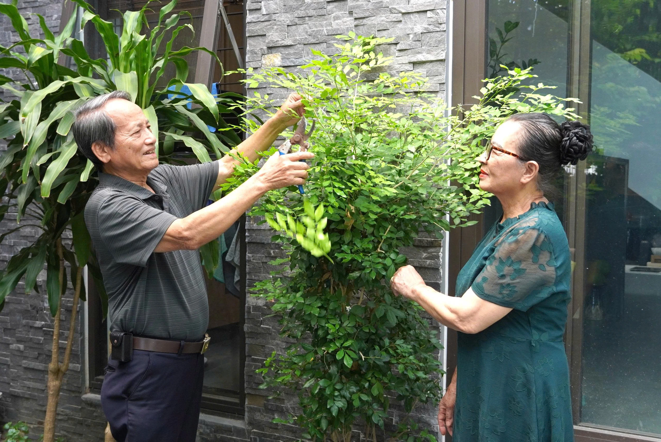 Khi người lính trở về