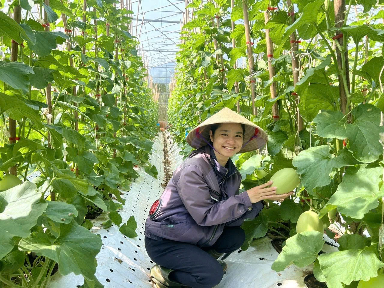 Đẩy mạnh chuyển đổi số trong sản xuất nông nghiệp