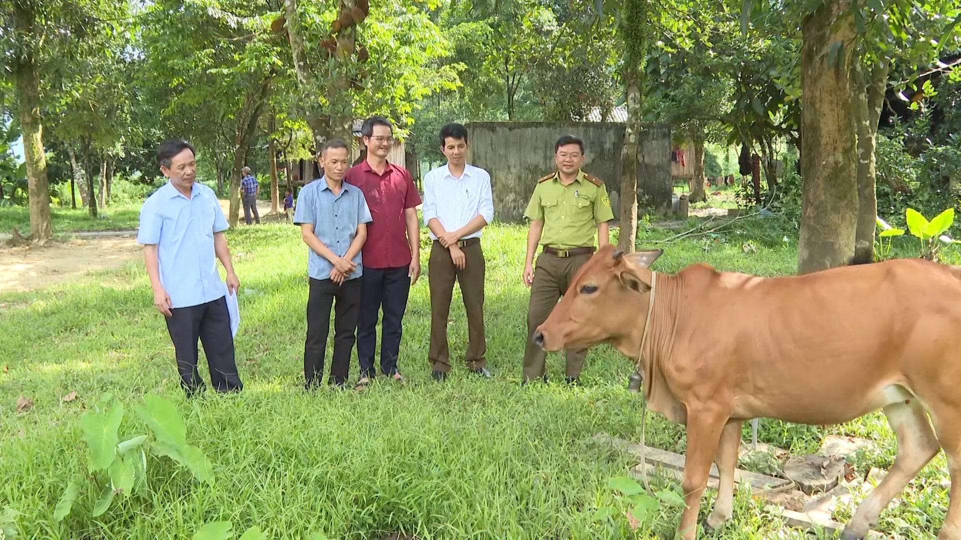 Hiệu quả từ thỏa thuận giảm phát thải vùng Bắc Trung bộ