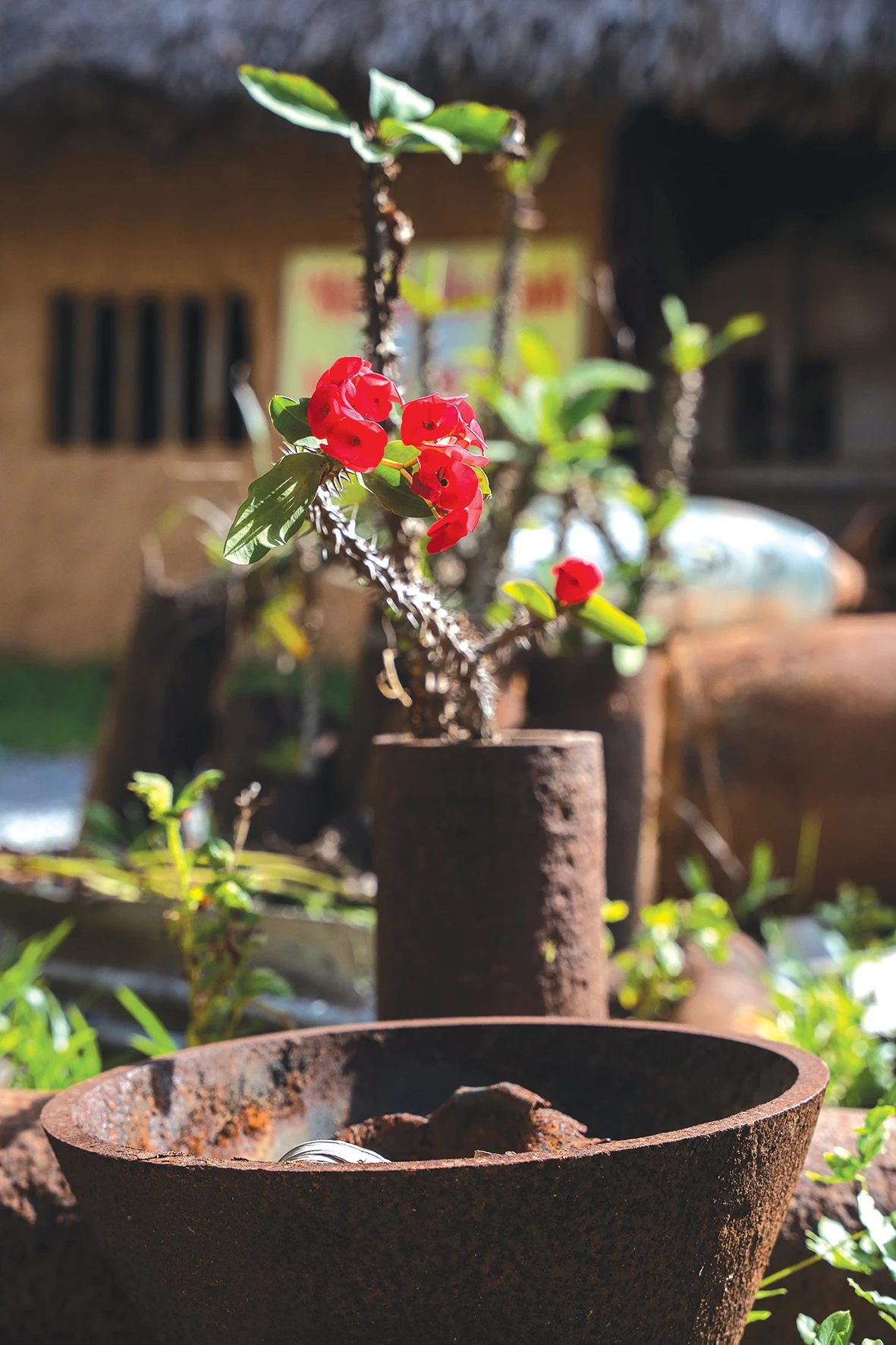 Ngôi nhà “kể chuyện” ngày xưa