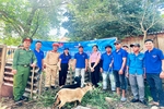 Niềm vui từ những dấu chân tình nguyện