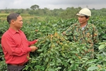 Nhiều sản phẩm hàng hóa đặc trưng, thế mạnh của các địa phương đã được đăng ký bảo hộ