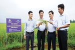 Dấu ấn nông nghiệp hữu cơ