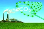 Gần 2,57 tỉ đồng thực hiện dự án do WWF-Việt Nam tài trợ