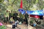 Khai thác vàng trái phép tại vùng rừng núi Vĩnh Linh: “Vàng tặc” quay trở lại