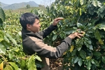 Hồ Mà nỗ lực vươn lên thoát nghèo