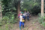 World Bank-funded program strengthens Quang Tri’s forest protection efforts