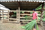 Vĩnh Linh: Khó khăn trong thu hồi vốn đa dạng hóa sinh kế, phát triển mô hình giảm nghèo