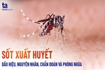 Tổ chức chiến dịch cao điểm phòng bệnh sốt xuất huyết, COVID-19