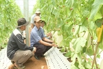 Đào tạo nguồn nhân lực đáp ứng yêu cầu chuyển đổi số 